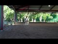Lisa and Zephyr - Video 7.MP4