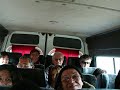 Excursion desde San Martin de los Andes a Quila Quina. Excursiones de 3 horas y media, con guía en combi de mañana o tarde desde San Martin de los Andes