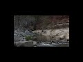 Arizona Streams 4