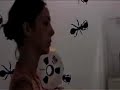 repórter britto júnior quase apanha