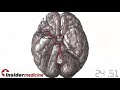 Insidermedicine in 60 - November 8, 2007 Vaccines and Diabetes