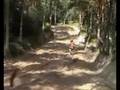 videos de 500cc 2-takt Treffen 2007 - nunspeet cr500 honda kawasaki yamaha 500 suzuki husqvarna mx motocross motorcross