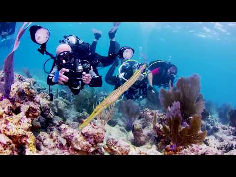 Florida Keys Reopens to Visitors After Irma