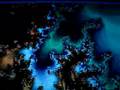 Fractal