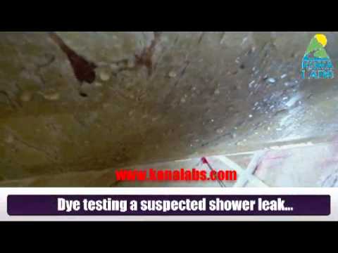 how to find a leak in a shower cubicle