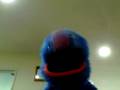 videos de Critical Acclaim - Avenged Sevenfold (Sung By A Sock Puppet)