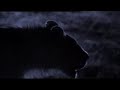 Elephant v. Lions Elephant v. Lions