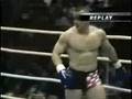 Mirko Crocop Highlights