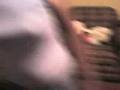 videos de fiesta