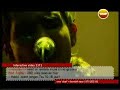 Sigur R�s - Hoppipolla, Vi� Spilum Endalaust Pukkelpop live
