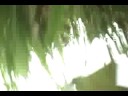 ap rc heli crash