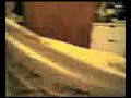 La oveja suegra Capitulo 2 (parte 2)