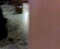 Furnished house for Rent 2 of 2