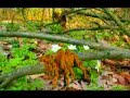 Baaba - 12 (Video by TV Out) Baaba - 12 (Video by TV Out)