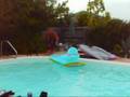 playin in the pool