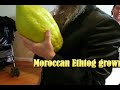 aperçu de la vidéo
