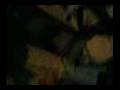 videos de Velho maluco da VP parte 1