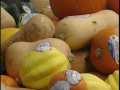 Phytochemicals in plant-based diets fight disease