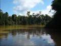 Malesia - Borneo