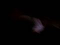videos de thomas
