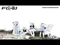 f(x) – Jet