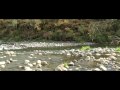 Fly Fishing New Zealand (Trippin' for Trout)
