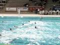 videos de Water Polo  :  France - Pologne     LEN TROPHY