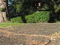 Kickflip Into Bank