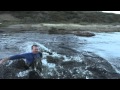 Røye fisking Grønland
