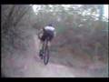 Memorial Park Trails