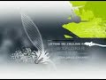 Explorer Channel ID Digitalb