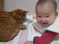 [ネコ]かわいい赤ちゃんの指をしゃぶってあげる心優しい猫ちゃん。のサムネイル