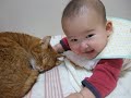 [ネコ]かわいい赤ちゃんの指をしゃぶってあげる心優しい猫ちゃん。のサムネイル2