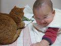 [ネコ]かわいい赤ちゃんの指をしゃぶってあげる心優しい猫ちゃん。のサムネイル3