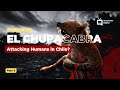 Part 6 El Chupacabra - Animal X Natural Mystery Unit