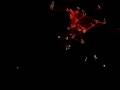 aves 3D / birds 3D