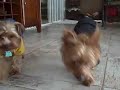 Sharing breakfast at home