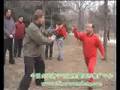 fighting level : asian