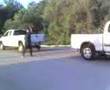 DODGE-RAM-4X4-VS-TOY