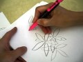 Drawing flower the simple way 01