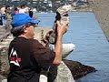 Rock Balancing Rock Balancing