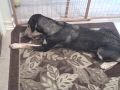 Cassie vs Butcher Bone Part 1