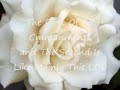 St Mark 12:29The First Commandment word4word JESUS