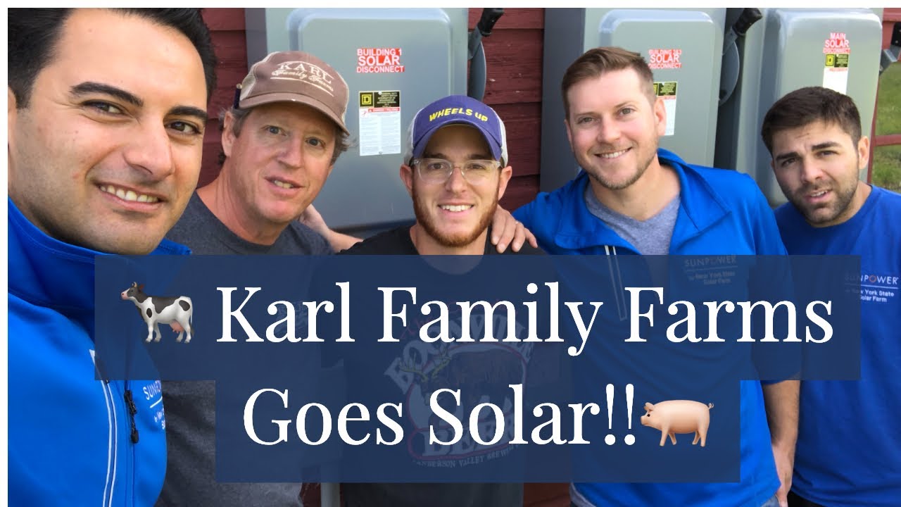 🐄Hudson Valley Farm Goes Solar!!! 🐖