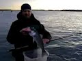 NJ SALT 5 18 07 Striper NJ SALT 5 18 07 Striper