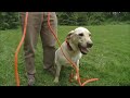 I favorited a YouTube video http://lnk.ms/PM9Cz