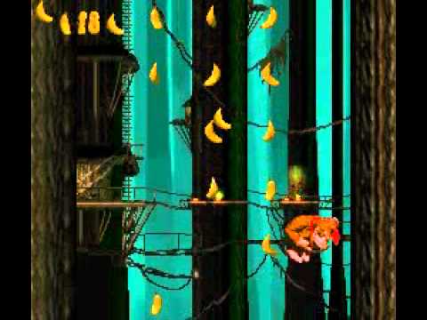 Donkey Kong Country