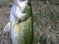 Pesca no Lavre 2.