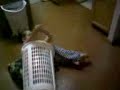 Scamper In A Hamper!