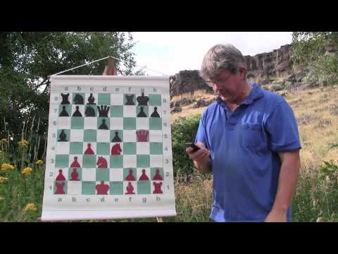 chess knight chess knight